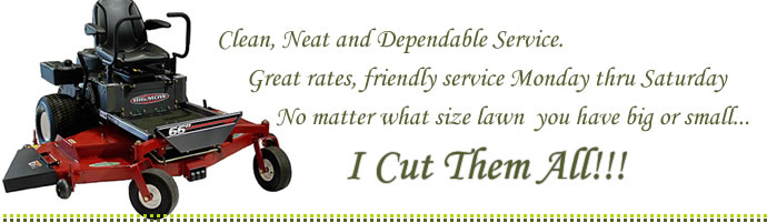 zero turn mower conroe lawn services